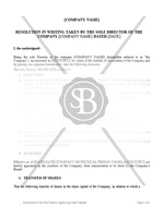 Resolution by the Sole Director Approving Share Transfer