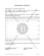 Shareholders Agreement Between Company and Shareholder