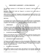 Employment Agreement - At Will Employee