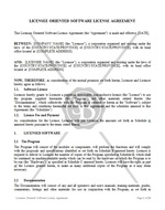 Licensee Oriented Software License Agreement