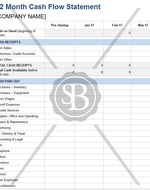 12 Month Cash Flow Statement