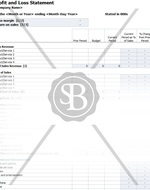 Profit and Loss Statement